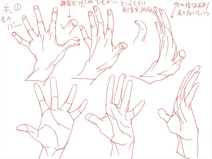 Arms - Hands 3 jp.jpg